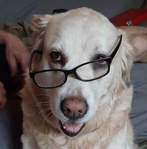 Meet your Posher, Joanne